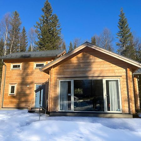 Mountain Holiday Homes - Ottsjoe, Trillevallen -Sweden Åre Esterno foto