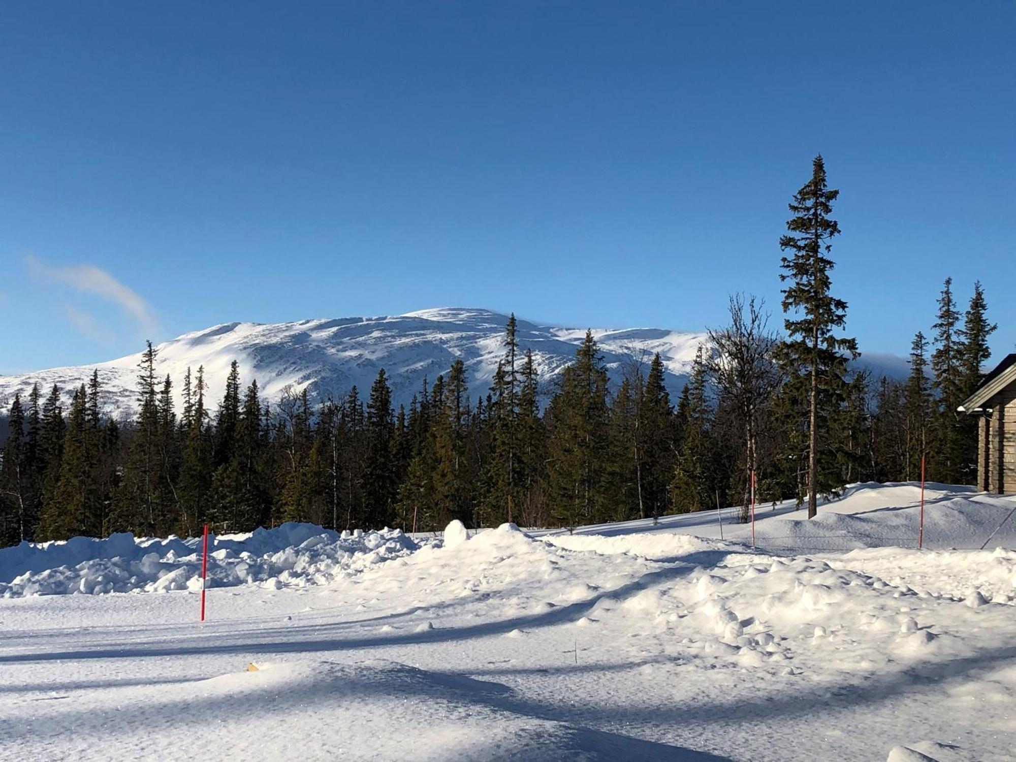 Mountain Holiday Homes - Ottsjoe, Trillevallen -Sweden Åre Esterno foto