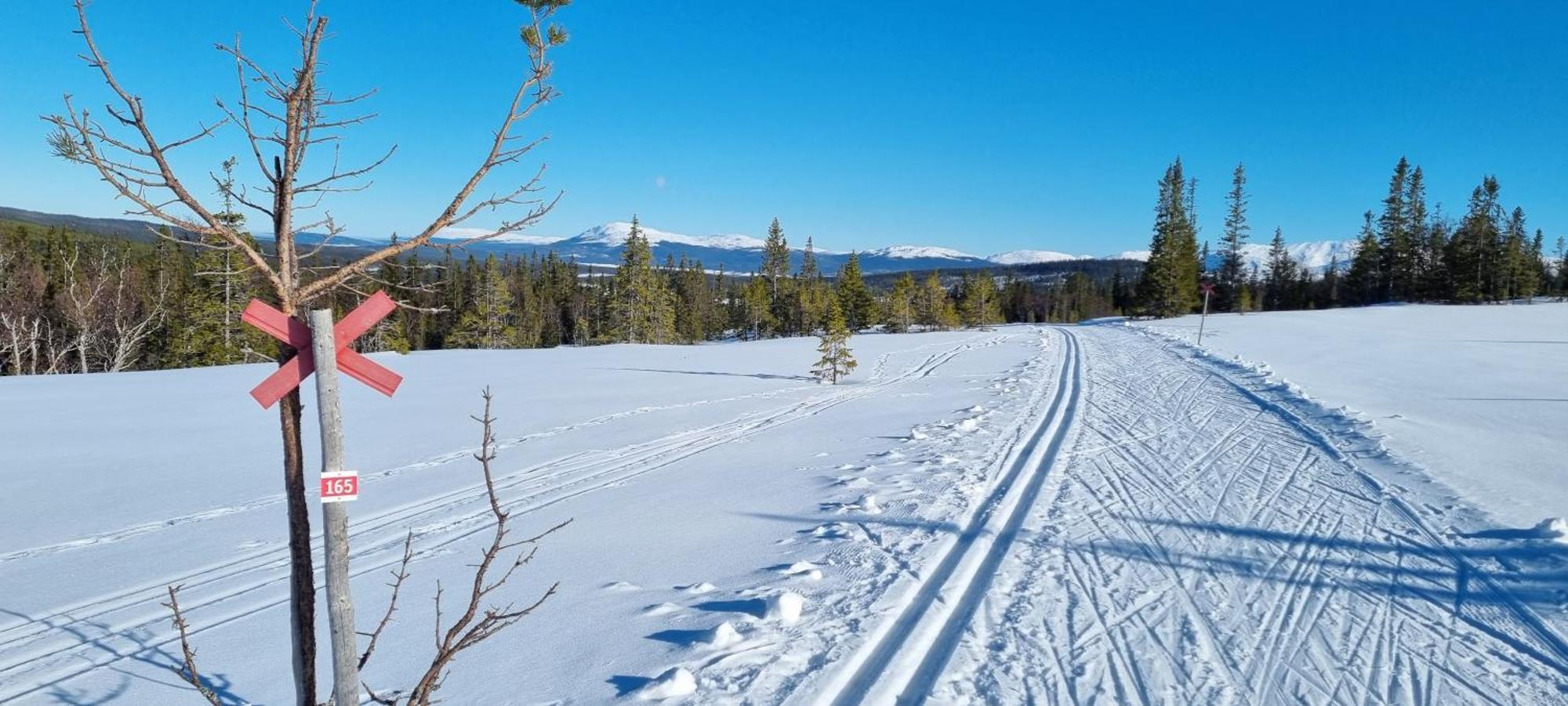 Mountain Holiday Homes - Ottsjoe, Trillevallen -Sweden Åre Esterno foto