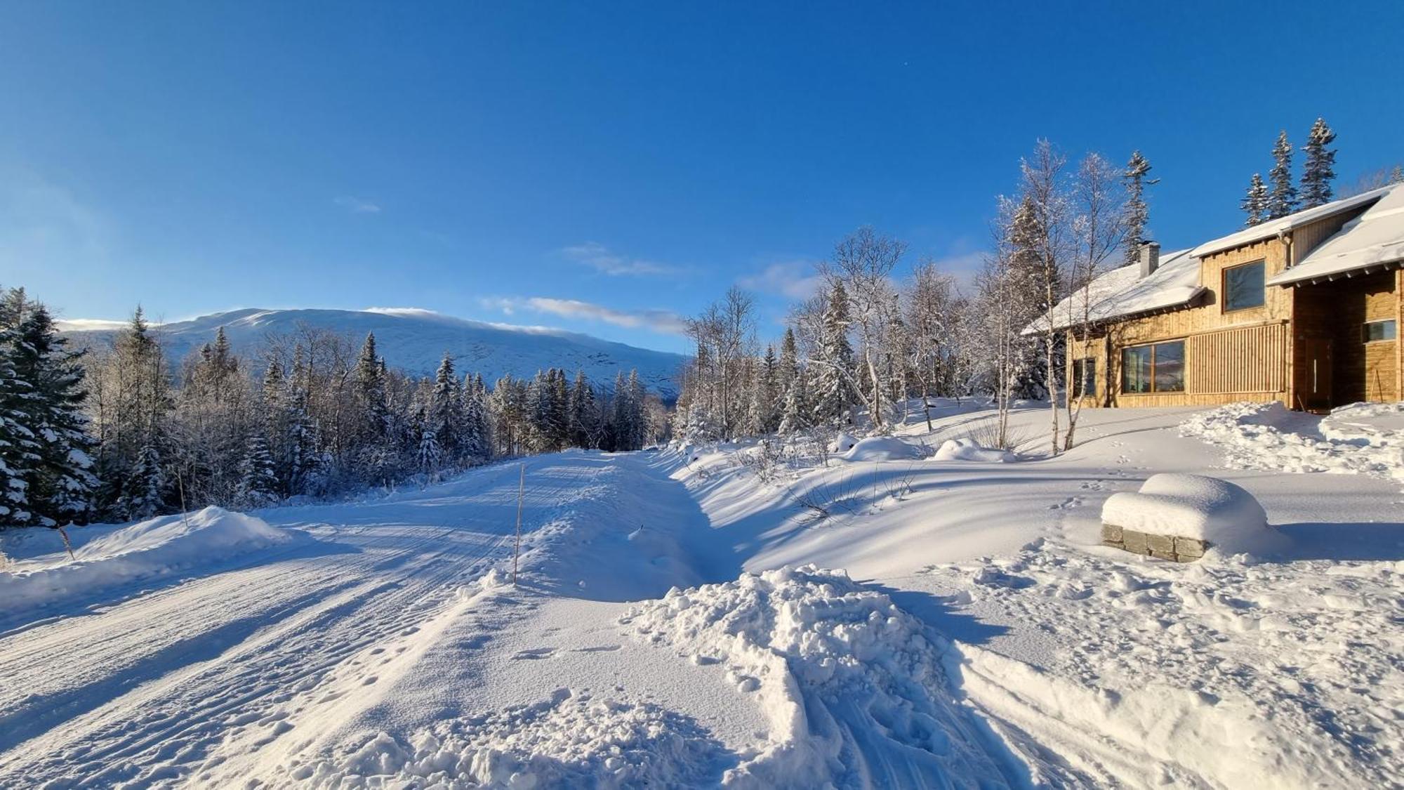 Mountain Holiday Homes - Ottsjoe, Trillevallen -Sweden Åre Camera foto