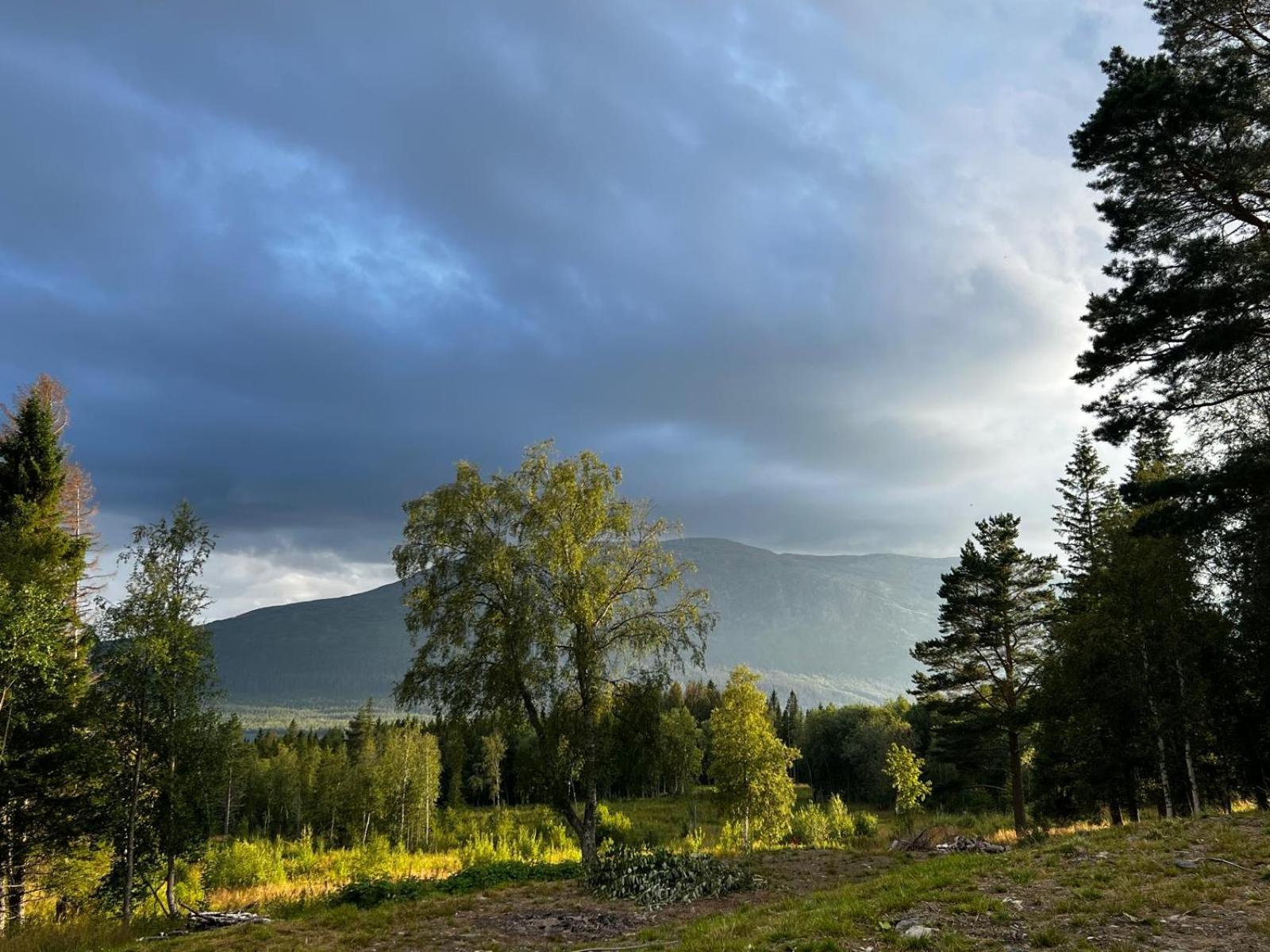 Mountain Holiday Homes - Ottsjoe, Trillevallen -Sweden Åre Camera foto